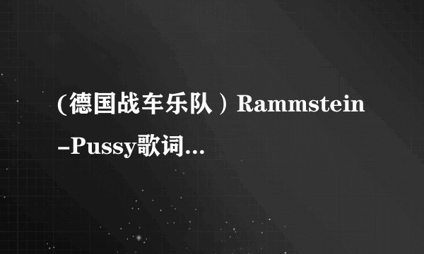 (德国战车乐队）Rammstein-Pussy歌词中文翻译！最好中德文对照