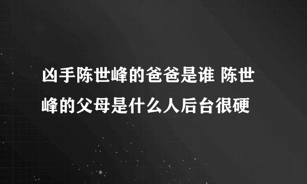凶手陈世峰的爸爸是谁 陈世峰的父母是什么人后台很硬