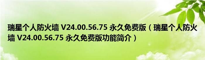 瑞星个人防火墙V24005675永久免费版瑞星个人防火墙V24005675永久免费版功能简介