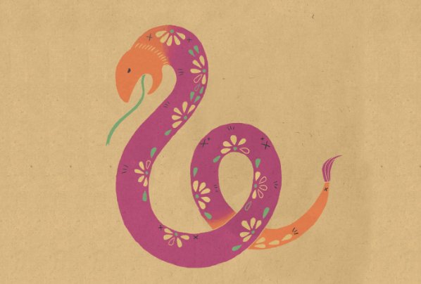 起居无时打一生肖