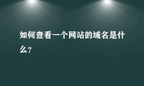 如何查看一个网站的域名是什么？