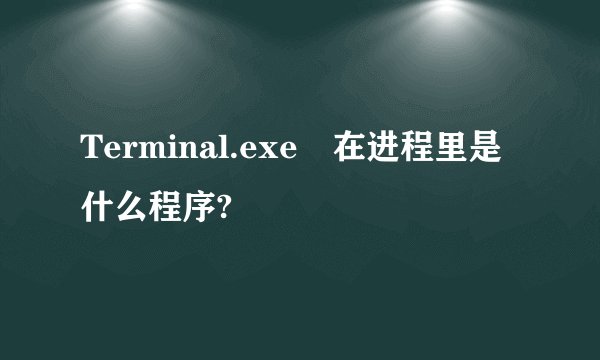 Terminal.exe 在进程里是什么程序?