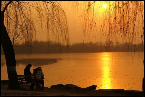 人约黄昏后的全诗