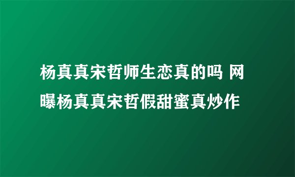 杨真真宋哲师生恋真的吗 网曝杨真真宋哲假甜蜜真炒作