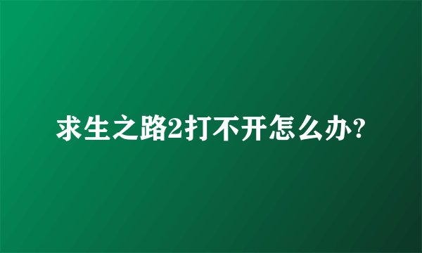求生之路2打不开怎么办?
