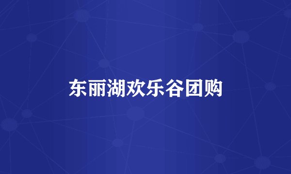 东丽湖欢乐谷团购