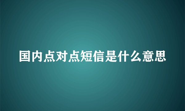 国内点对点短信是什么意思