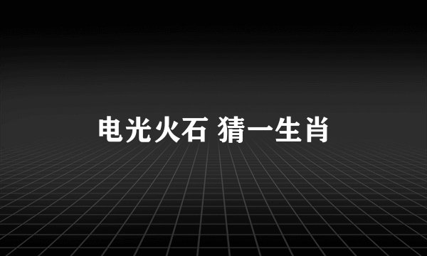 电光火石 猜一生肖