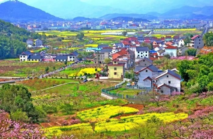 最早启动美丽乡村建设的是