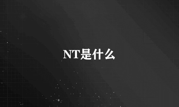 NT是什么