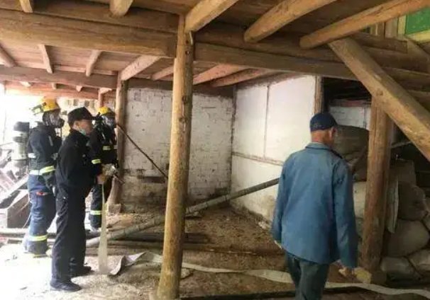 山东一村民家中“住进”40余只蝙蝠，蝙蝠为何会选择在这个地方安家？