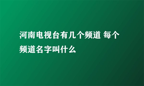 河南电视台有几个频道 每个频道名字叫什么