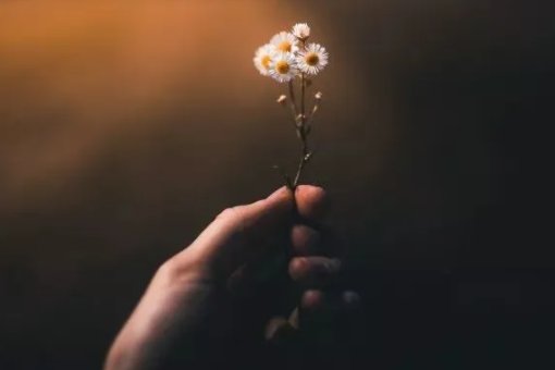 不悲不喜是什么意思