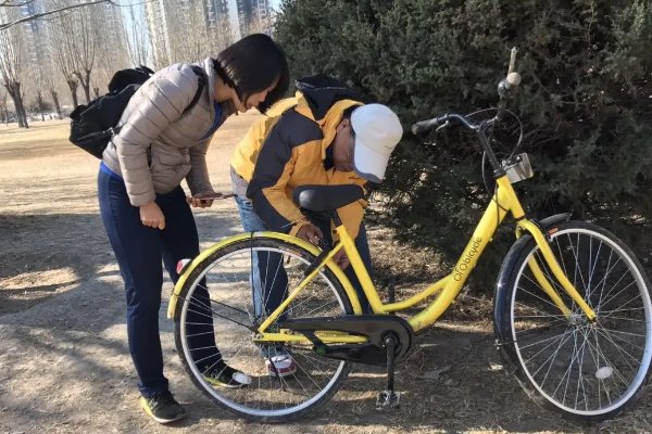 写的超细的开小黄车的片段叫什么