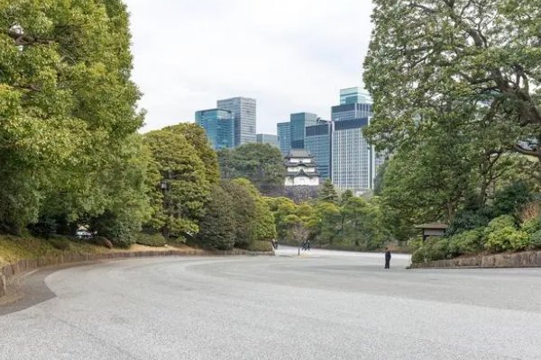 日本一本、二本、三本区别在哪里