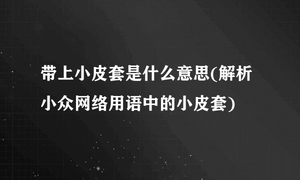 带上小皮套是什么意思(解析小众网络用语中的小皮套)