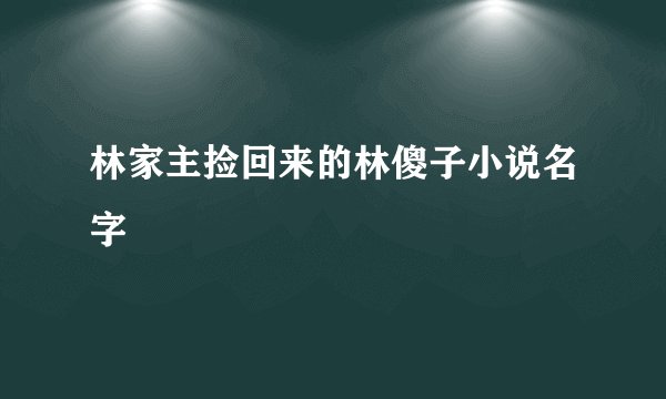 林家主捡回来的林傻子小说名字
