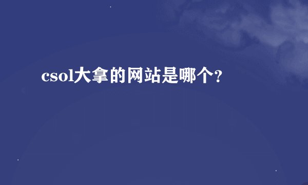 csol大拿的网站是哪个？