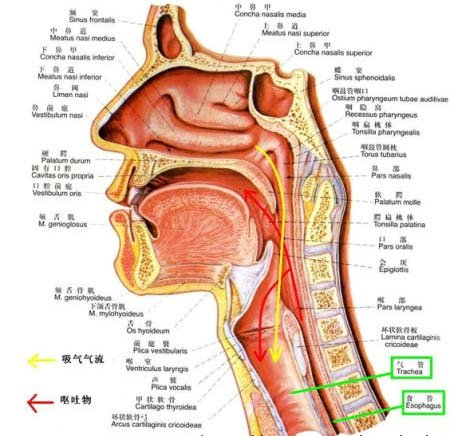 死于三日之内的基本信息