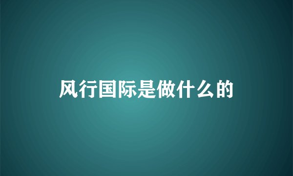 风行国际是做什么的
