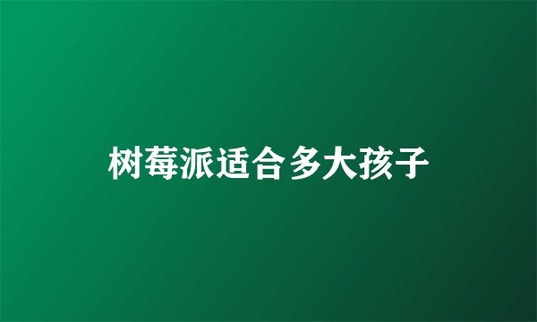 树莓派适合多大孩子