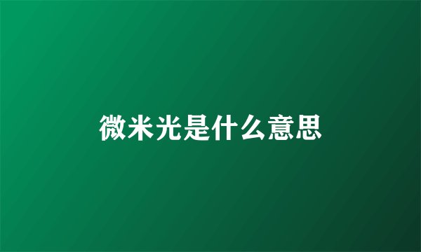 微米光是什么意思