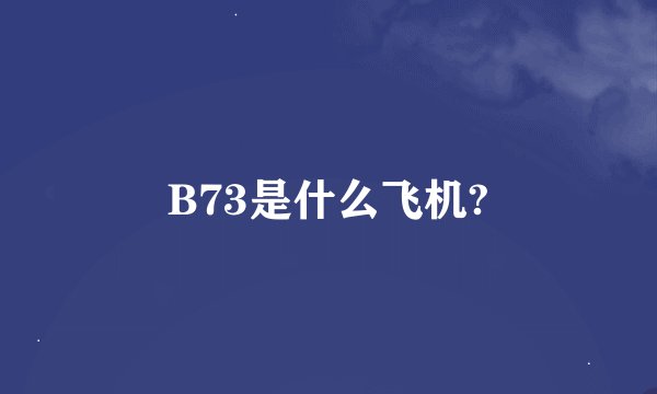 B73是什么飞机?