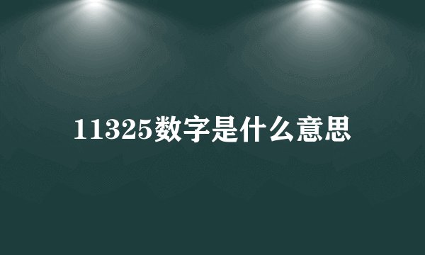 11325数字是什么意思
