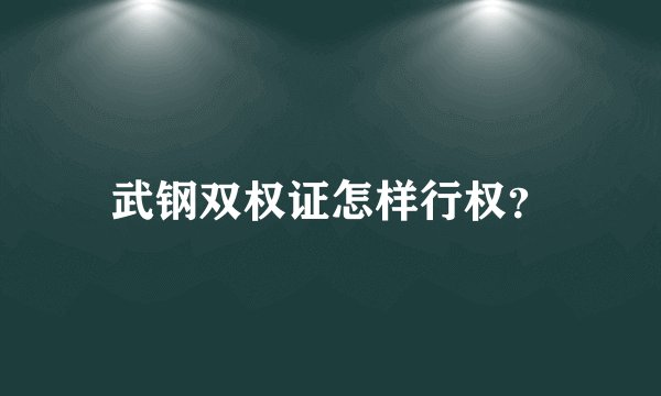 武钢双权证怎样行权？
