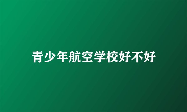 青少年航空学校好不好