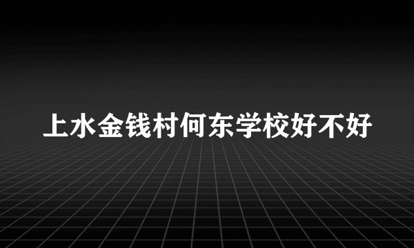 上水金钱村何东学校好不好
