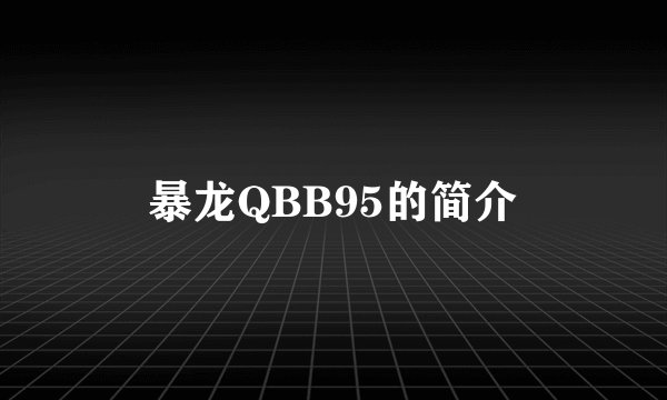 暴龙QBB95的简介