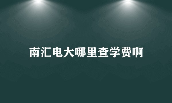 南汇电大哪里查学费啊