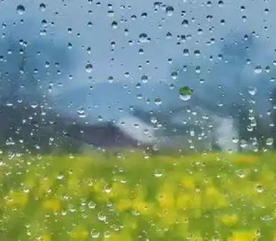 有关雨的诗句古诗