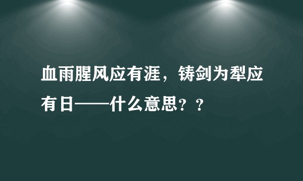 血雨腥风应有涯，铸剑为犁应有日——什么意思？？