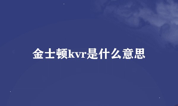 金士顿kvr是什么意思