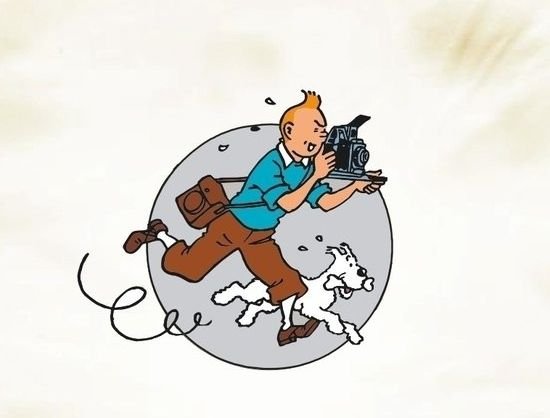 你觉得《丁丁历险记》好看吗?