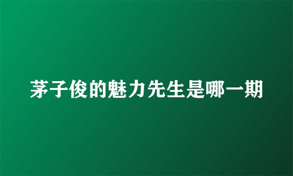 茅子俊的魅力先生是哪一期