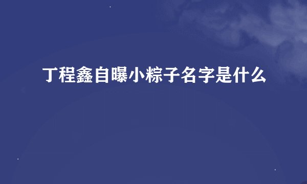 丁程鑫自曝小粽子名字是什么