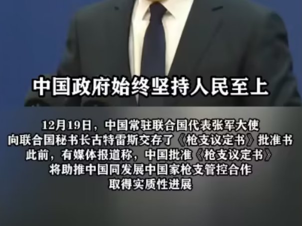 枪支议定书内容