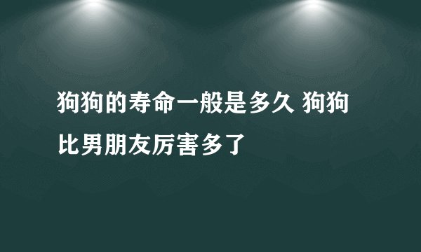 狗狗的寿命一般是多久 狗狗比男朋友厉害多了