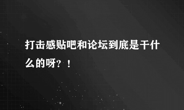 打击感贴吧和论坛到底是干什么的呀？！