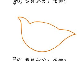 抗战胜利花是什么,怎么做?