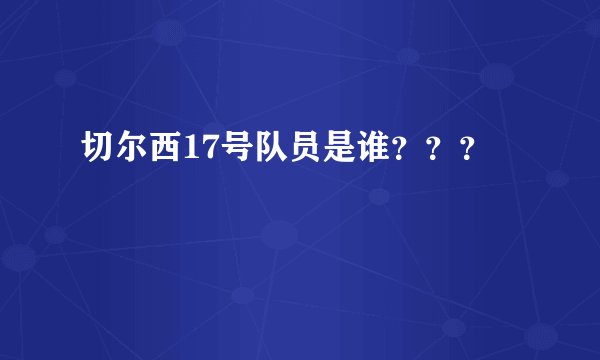 切尔西17号队员是谁？？？