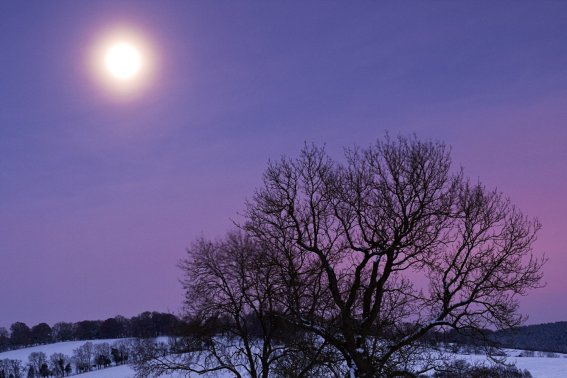 八月十五的月亮描写