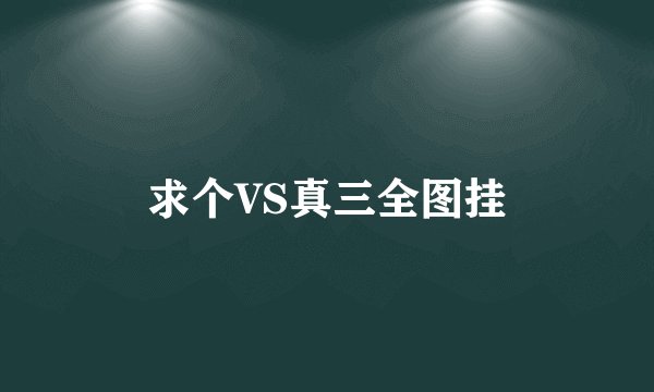 求个VS真三全图挂