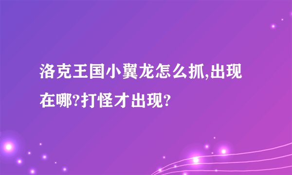 洛克王国小翼龙怎么抓,出现在哪?打怪才出现?