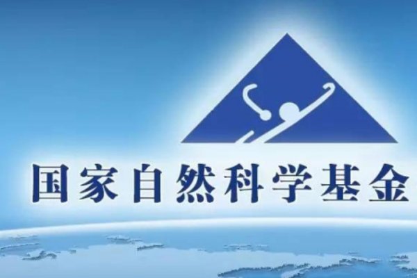 国家自然科学基金编号