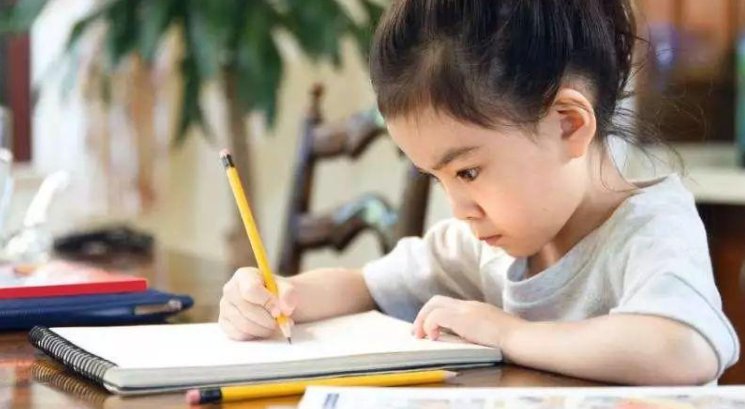 河南四套法制频道今天七点五十专题讲座 怎样让孩子爱上学习 观后感600字左右作文