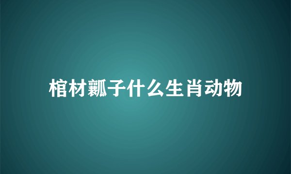 棺材瓤子什么生肖动物